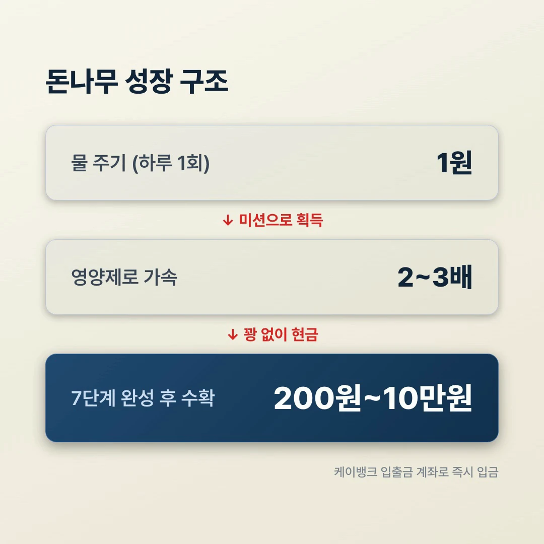 돈나무 성장 구조, 물 주기 하루 1회 1원·영양제로 2~3배 가속·7단계 완성 후 200원~10만원 수확